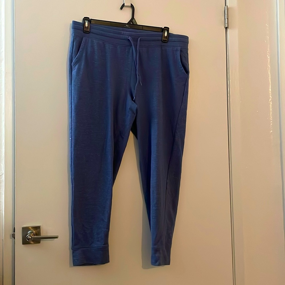 Champion Blue sweatpants